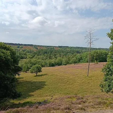 Semesterbostad Legoland Luxury