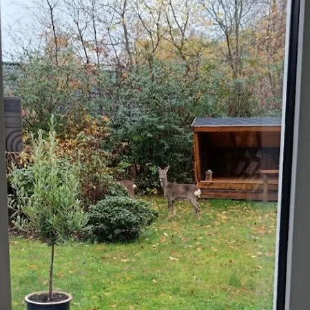 Semesterbostad Legoland Luxury